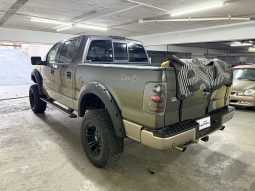 
										Ford F-150 2007 full									